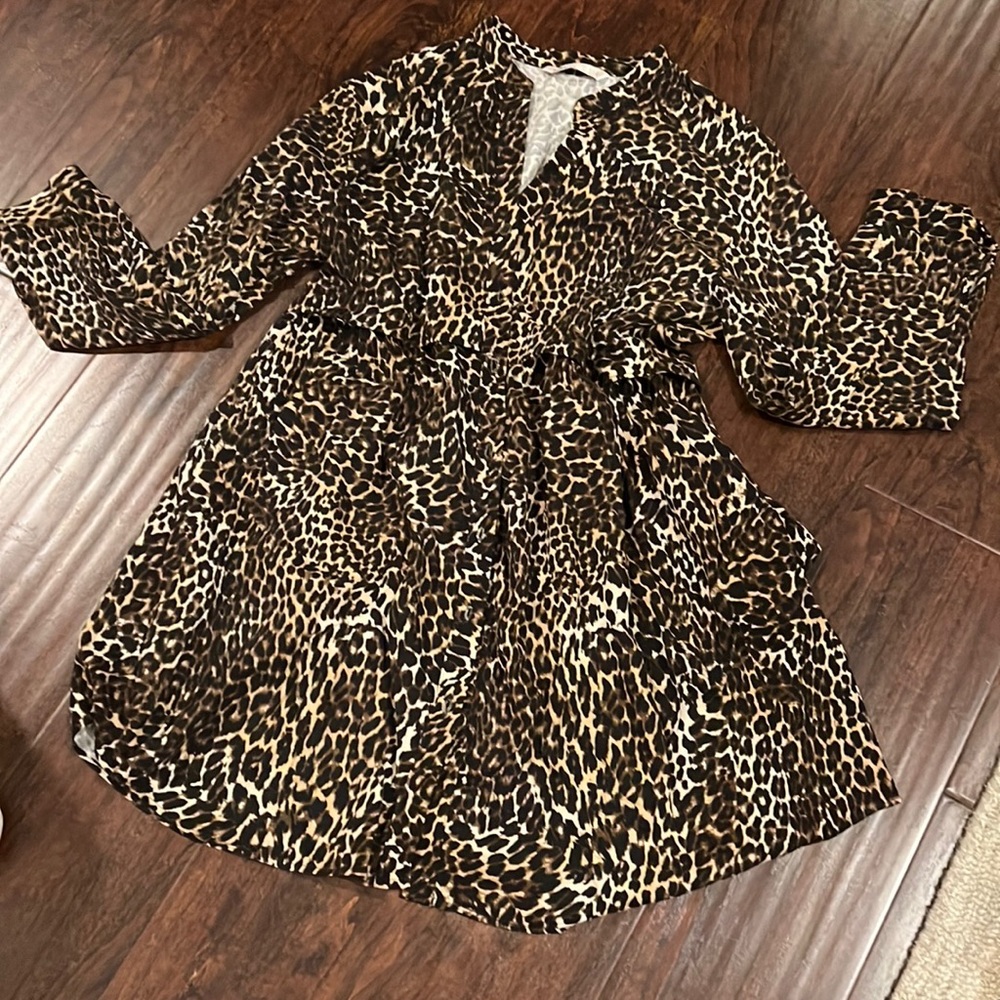 Zara Cheetah dress